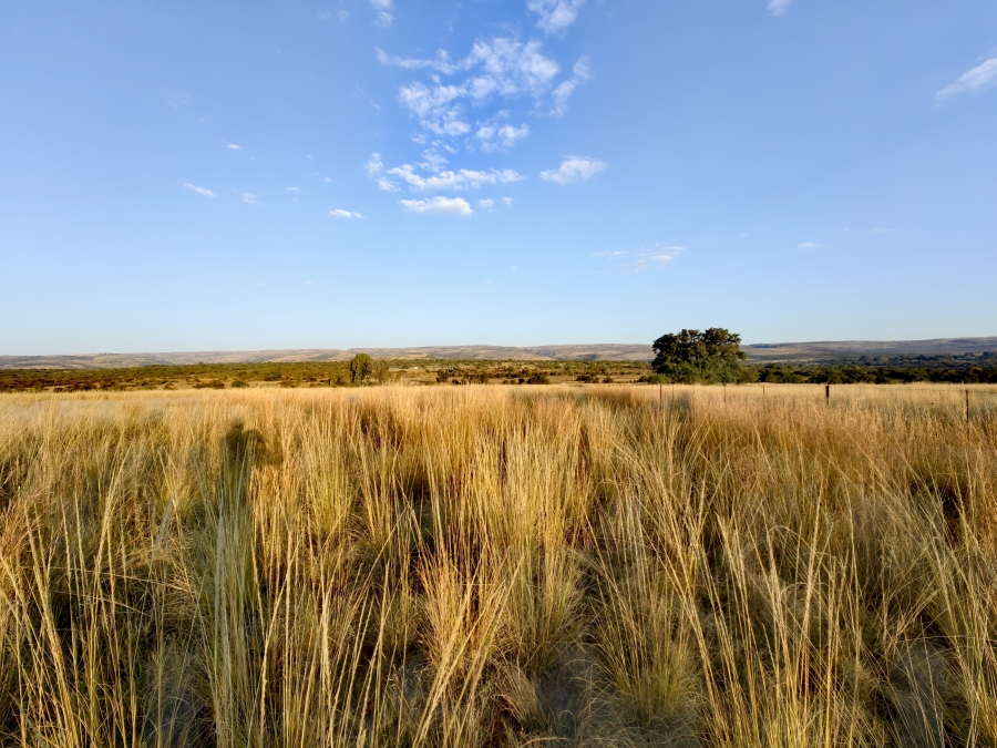 Commercial Property for Sale in Buffelsfontein A H North West